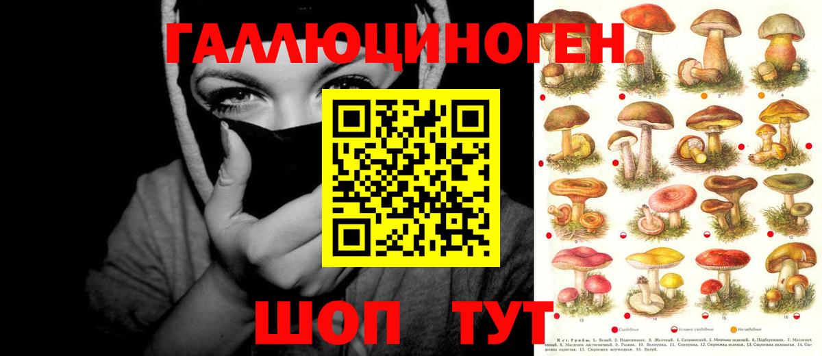 Галлюциногенные грибы Cubensis Кудрово